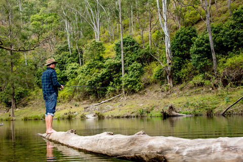 Bass Lodge - Accommodation Gold Coast 0