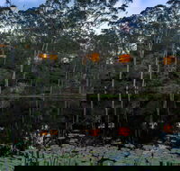 Billabong Retreat - Accommodation Gold Coast