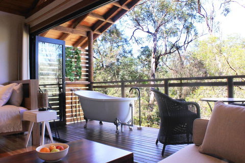 Billabong Retreat - Accommodation Gold Coast 1
