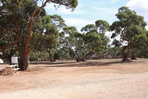 Cleve Showgrounds RV Park - Accommodation Gold Coast 1