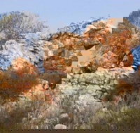 Credo Homestead Camp at Credo Conservation Park - Accommodation Gold Coast