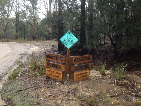 Echidna On Bruny - Accommodation Gold Coast 1
