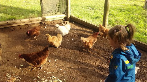 Emerald Park Holiday Farm - Accommodation Gold Coast 2