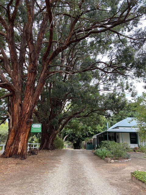 Fernleigh Accommodation - Gold Coast 4U 0