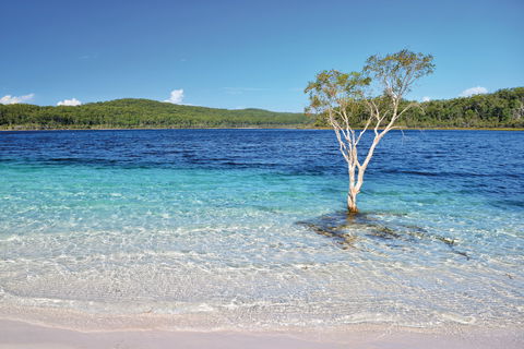 Fraser Island Fishing Units - Accommodation Gold Coast 0