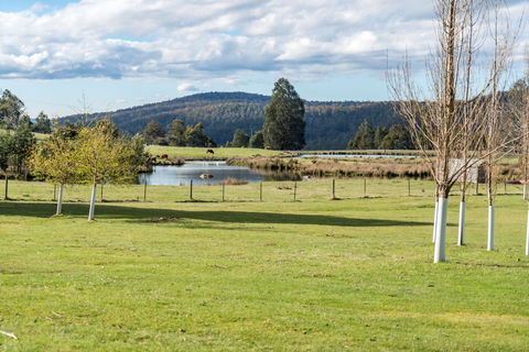 Highland Caravan Park - Accommodation Gold Coast 1