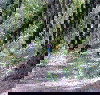 Honeymoon Pool - Gelcoat Camp at Wellington National Park - Accommodation Gold Coast