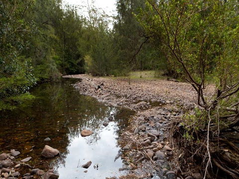 Long Gully Campground - Accommodation Gold Coast 1
