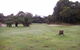Macquarie Heads Camping Ground - thumb 1