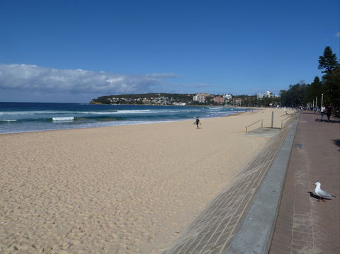 Manly Seaside Cottage - Accommodation Gold Coast 0