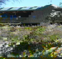 Melaleuca - Eco and Pet Friendly  Harbor Point Cabins - Accommodation Gold Coast