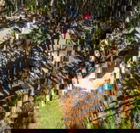 Reflections Holiday Parks Hungry Head - Accommodation Gold Coast