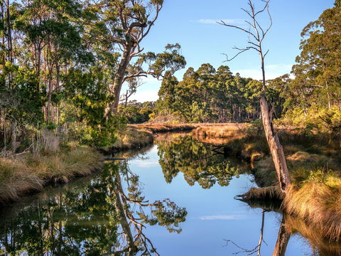 Saintys Creek Cottage - Accommodation Gold Coast 1