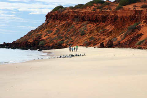 South Gregories Camp At Francois Peron National Park - Gold Coast 4U 0