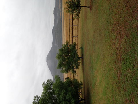 The Old Dairy At Baerami - Accommodation Gold Coast 2