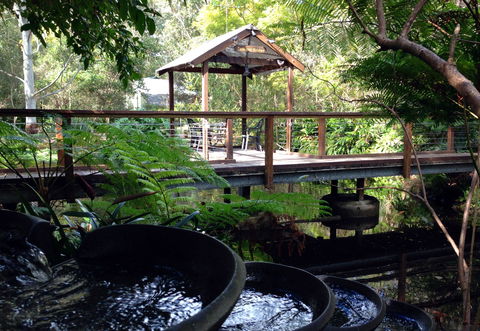 The Oasis And Wellness Centre  At One Mile Beach - Gold Coast 4U 0