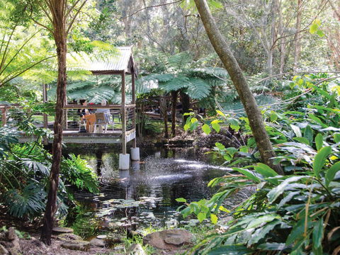 The Oasis And Wellness Centre  At One Mile Beach - Gold Coast 4U 2
