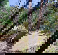 The Barracks campground - Accommodation Gold Coast