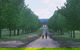 The Oaks Ranch And Country Club - thumb 1