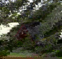 Turkeys Nest Rainforest Cottages Mt Glorious - Accommodation Gold Coast