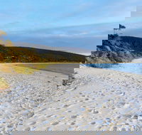 White Beach Tourist Park - Accommodation Gold Coast