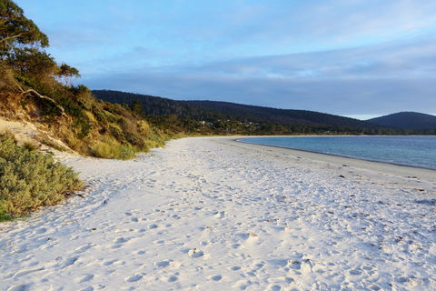 White Beach Tourist Park - Accommodation Gold Coast 0