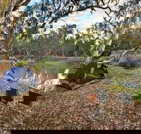 Woolpress Bend campground - Accommodation Gold Coast