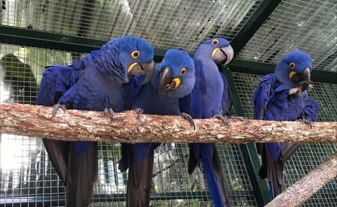 Ashmore Palms Holiday Village - 1 Gold Coast 2