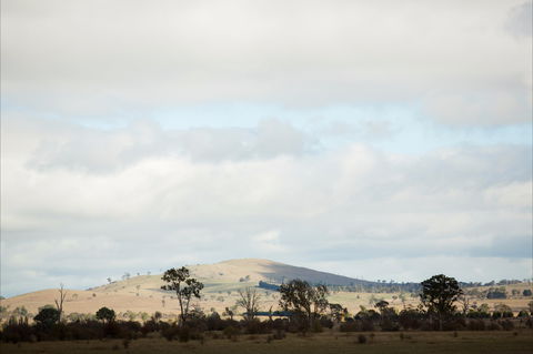 Aurelias Farm Bed And Breakfast - Accommodation Gold Coast 1