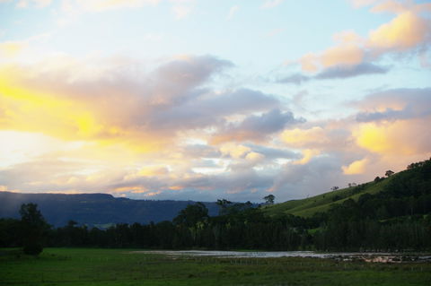 Back Forest Retreat - Accommodation Gold Coast 0