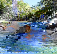 Big4 Aussie Outback Oasis Holiday Park - Accommodation Gold Coast