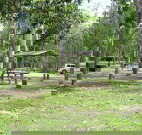 Broadwater camping area Abergowrie State Forest - Accommodation Gold Coast