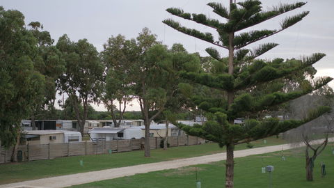 Cape Jaffa Caravan Park - Accommodation Gold Coast 2