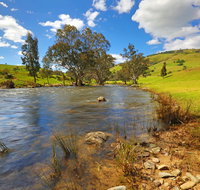 Elm Cottage Tumut - Accommodation Gold Coast