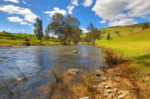 Elm Cottage Tumut - Accommodation Gold Coast 0