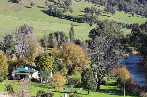 Elm Cottage Tumut - Accommodation Gold Coast 1
