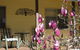 Figtree Cottage - thumb 1
