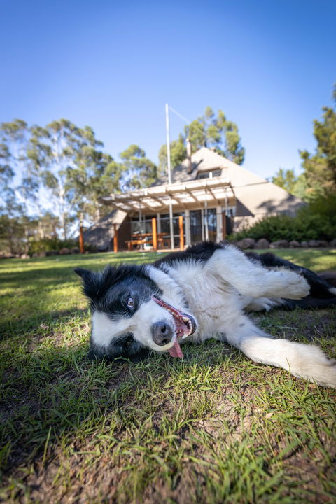 Grampians Getaway - Accommodation Gold Coast 0