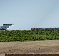 Hounds Run Vineyard - Accommodation Gold Coast