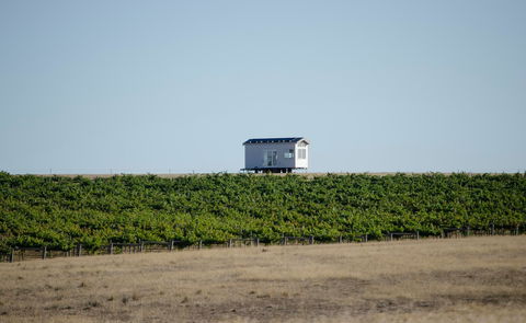 Hounds Run Vineyard - Accommodation Gold Coast 0