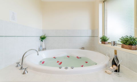 Pegasus Motel - Accommodation Gold Coast 2