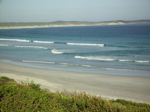 Raven Cottage KI - Gold Coast 4U 1