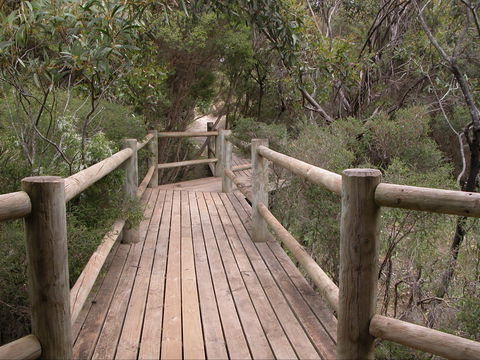 Raven Cottage KI - Gold Coast 4U 2