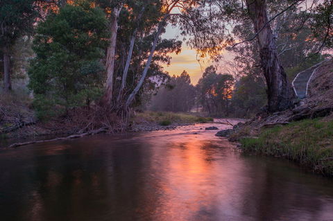 Riverdowns - Accommodation Gold Coast 1