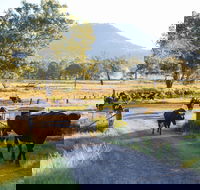 Tommerups Dairy Farmstay - Accommodation Gold Coast