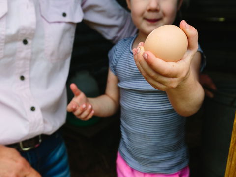 Tommerups Dairy Farmstay - Accommodation Gold Coast 1