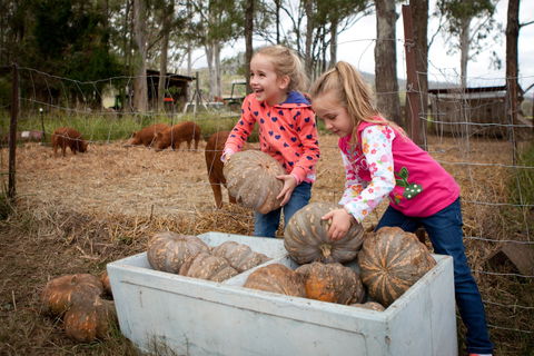Tommerups Dairy Farmstay - Accommodation Gold Coast 2