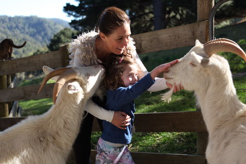 Valley View Nature Retreat - Accommodation Gold Coast 1