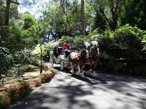 Whistle Stopover - Accommodation Gold Coast 8