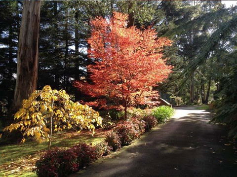 Whistle Stopover - Accommodation Gold Coast 12